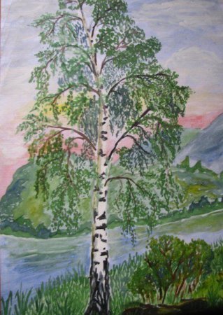 Рисование березы