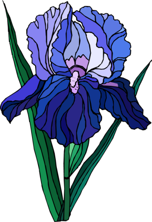 Рисование ириса для детей