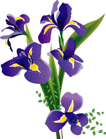 Ириса Салоян