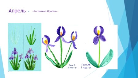 Ирис мультяшный