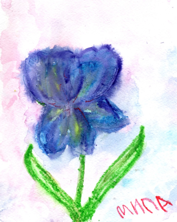 Раскраска ирисы для детей