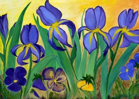 Раскраска цветы ирисы