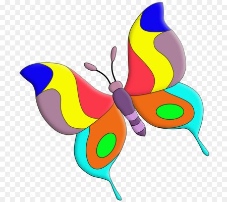 Бабочки детские