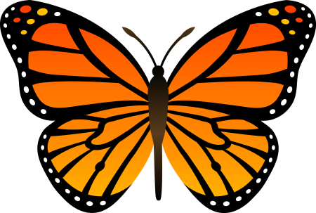 Бабочка рисунок