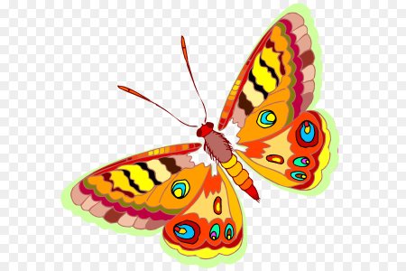 Бабочка рисунок для детей