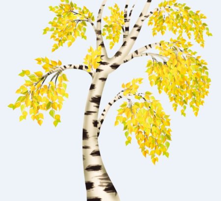 Рисование осенней березы