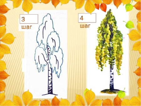 Рисование осенней березы для ср.гр