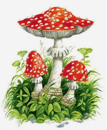 Мухомор для дошкольников