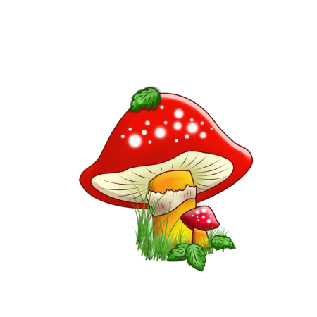 Мухомор для детей