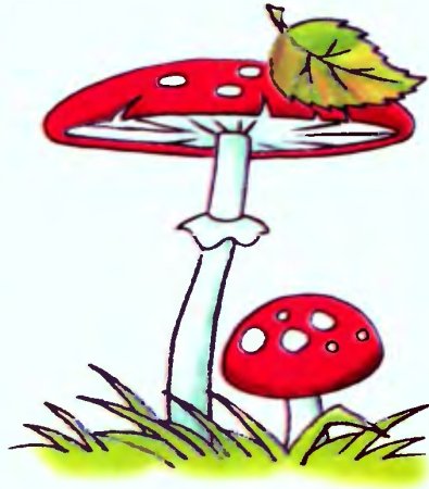 Мухомор рисунок для детей