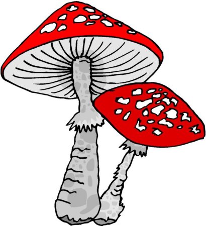 Мухомор печать