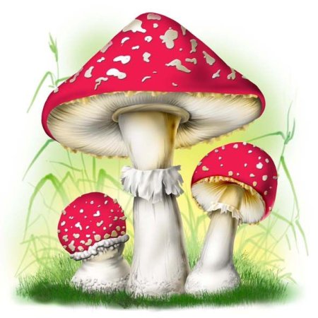 Мухомор для детей детского сада
