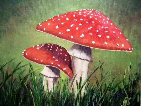 Мухомор акварель Сюзан Веллер