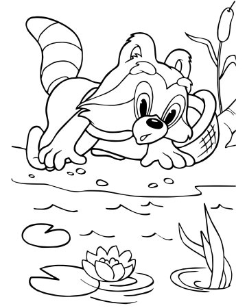 Мультфильмы. Крошка енот