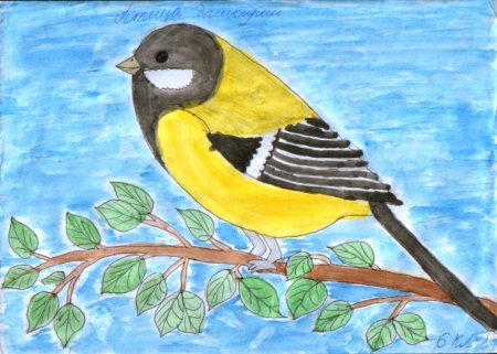Рисование птички синички