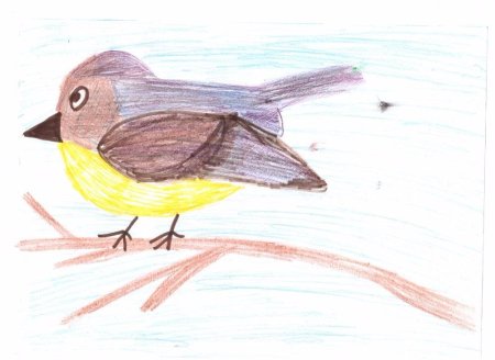 Рисование с детьми синичка