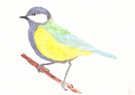 Рисование синички