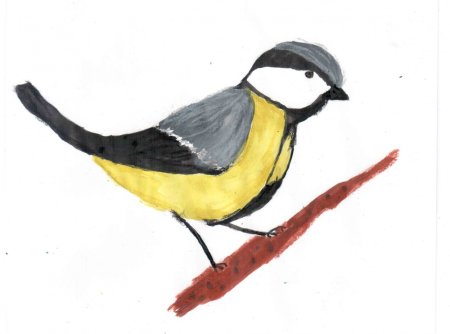 Рисование синички