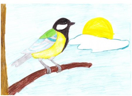 Рисование синицы