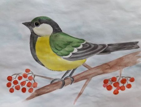 Рисование птиц для детей