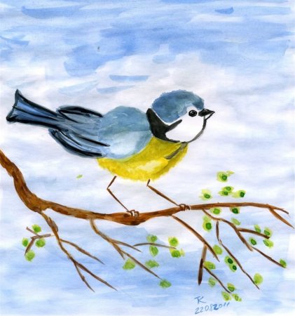 Синица рисунок