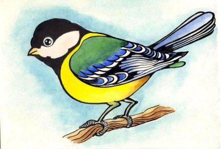 Синица для детей