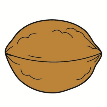 Нарисовать орех