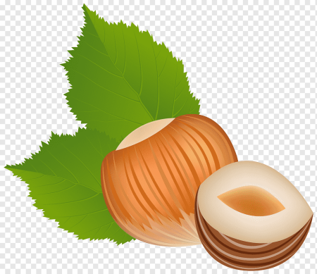 Орешки на прозрачном фоне