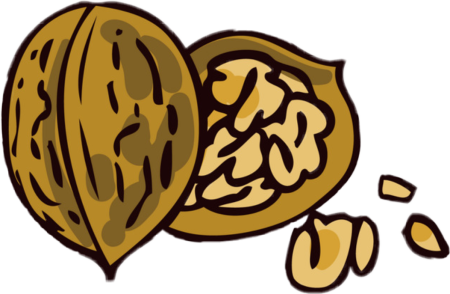 Орехи иллюстрация