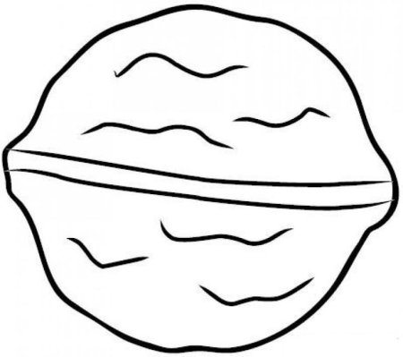 Орех раскраска