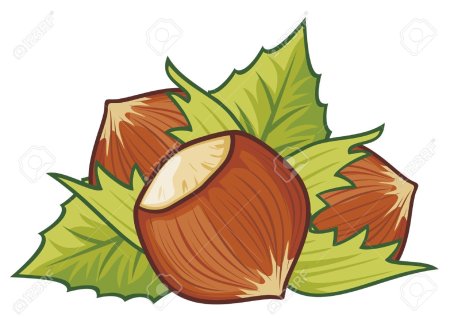 Лесной орех вектор