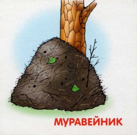 Муравейник рисунок