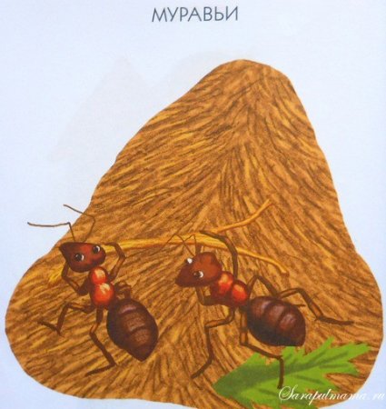 Муравейник для детей