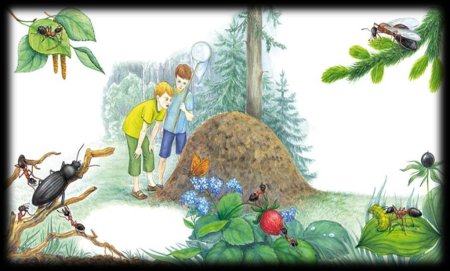 Муравейник для детей