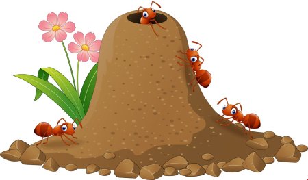 Муравейник для дошкольников