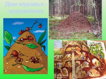 Муравейник для детей