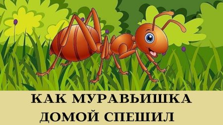 Муравейник раскраска для детей