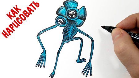 Как нарисовать сиреногалового