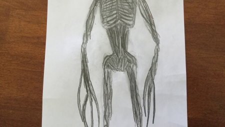 Сирена головы рисунок карандашом