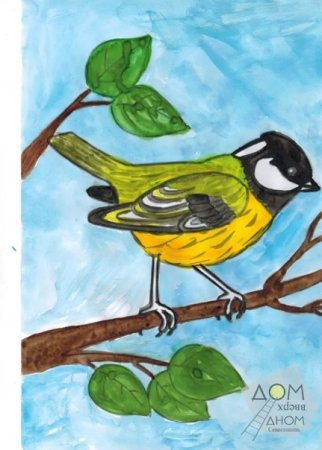 Рисование синицы