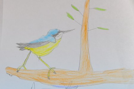 Детские рисунки птиц