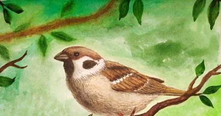 Воробей рисунок