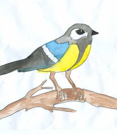 Рисование синички