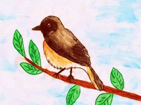 Птица рисунок для детей