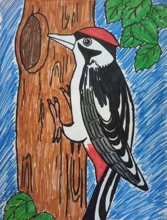 Пришвин дятел