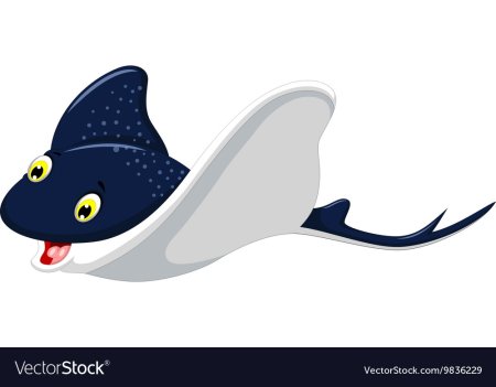 Скат иллюстрация