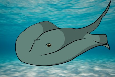 Скат раскраска для детей