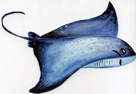 Скат картина