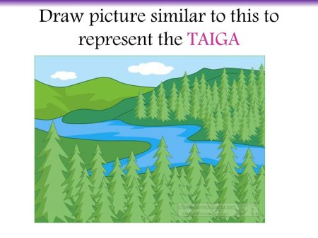 Тайга для детей рисование