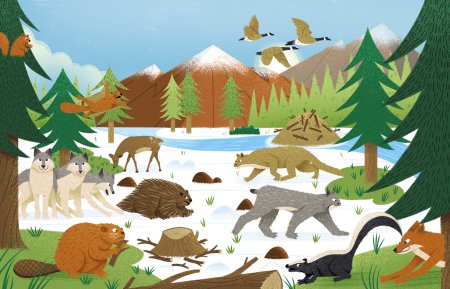 Обитатели тайги для детей